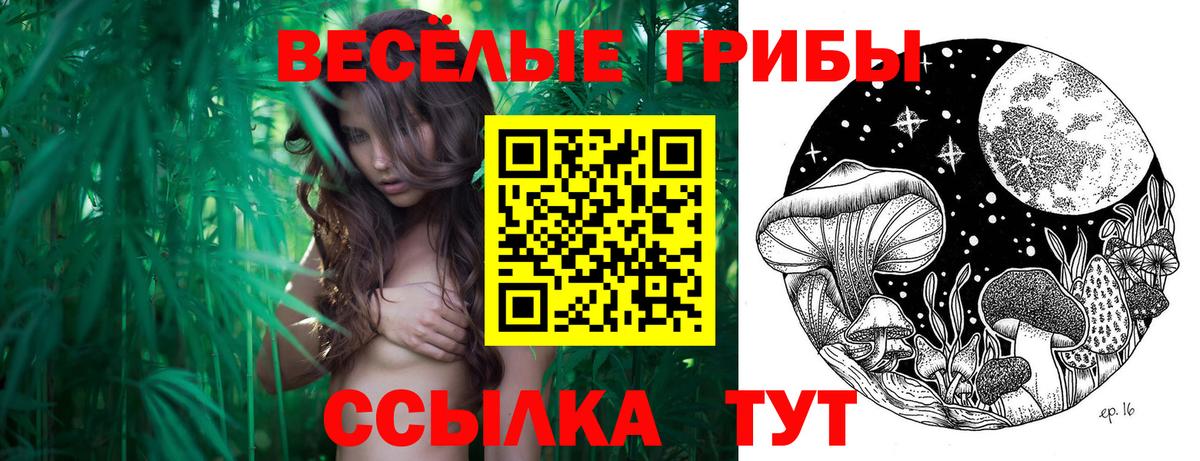 Галлюциногенные грибы Magic Shrooms  Галлюциногенные грибы мухоморы  Вход с VPN  Глазов 