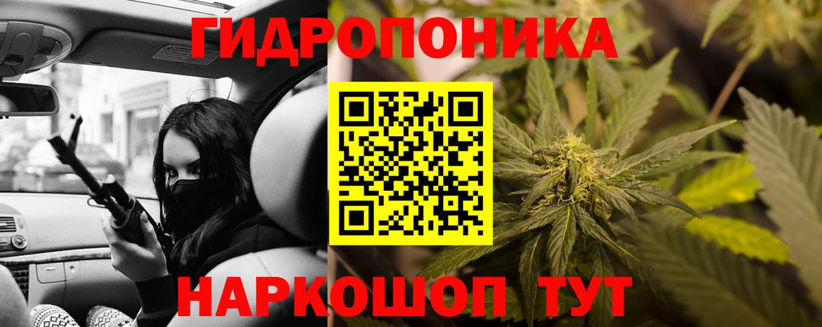 Канабис гибрид Глазов